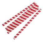 Fiesta Compostable composteerbare papieren smoothierietjes 210mm rood-wit  Individueel verpakt (250 stuks)